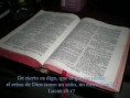 /album/fotogaleria/biblia-jpg/