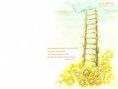 /album/fotogaleria/heavenly-ladder-632-1024x768-jpg/